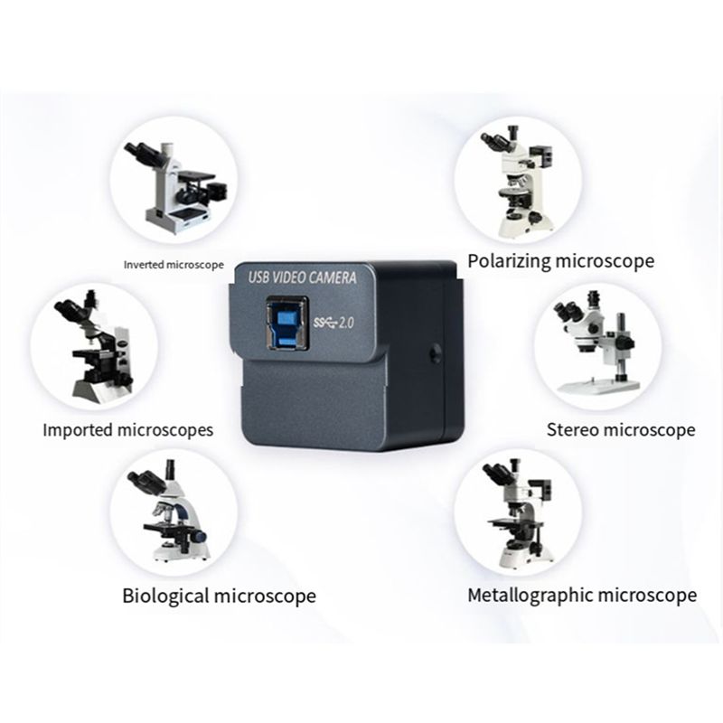 AED7-IMX Microscope Camera UVC - 4K Microscope Camera Sony Sensor 评论和价格